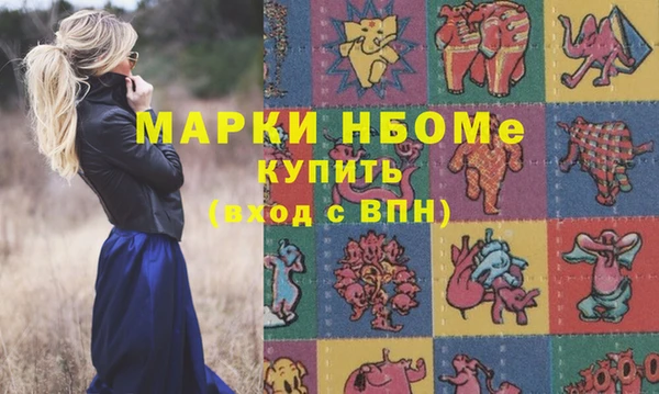 spice Богородск