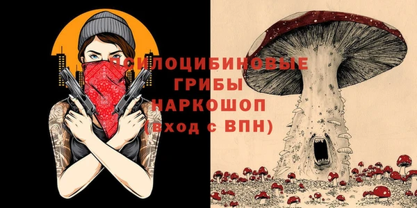 spice Богородск