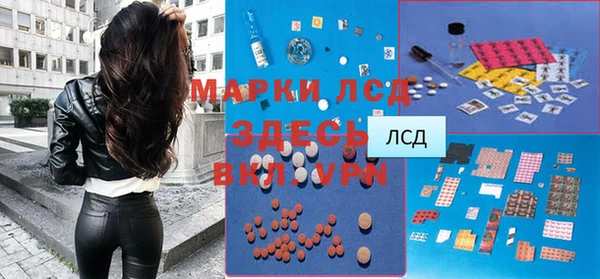бошки Богданович