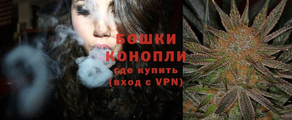 spice Богородск