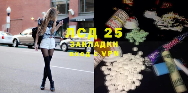spice Богородск