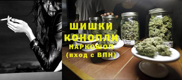 spice Богородск