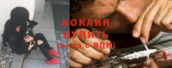 бошки Богданович