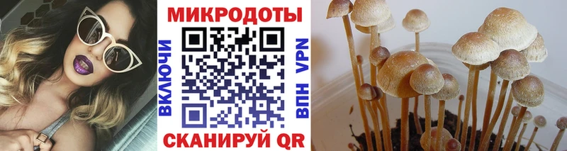 Псилоцибиновые грибы Psilocybine cubensis  площадка телеграм  Подольск  ссылка на мегу как войти 